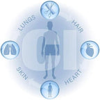 Aurelian SpaFlow Shower Filter