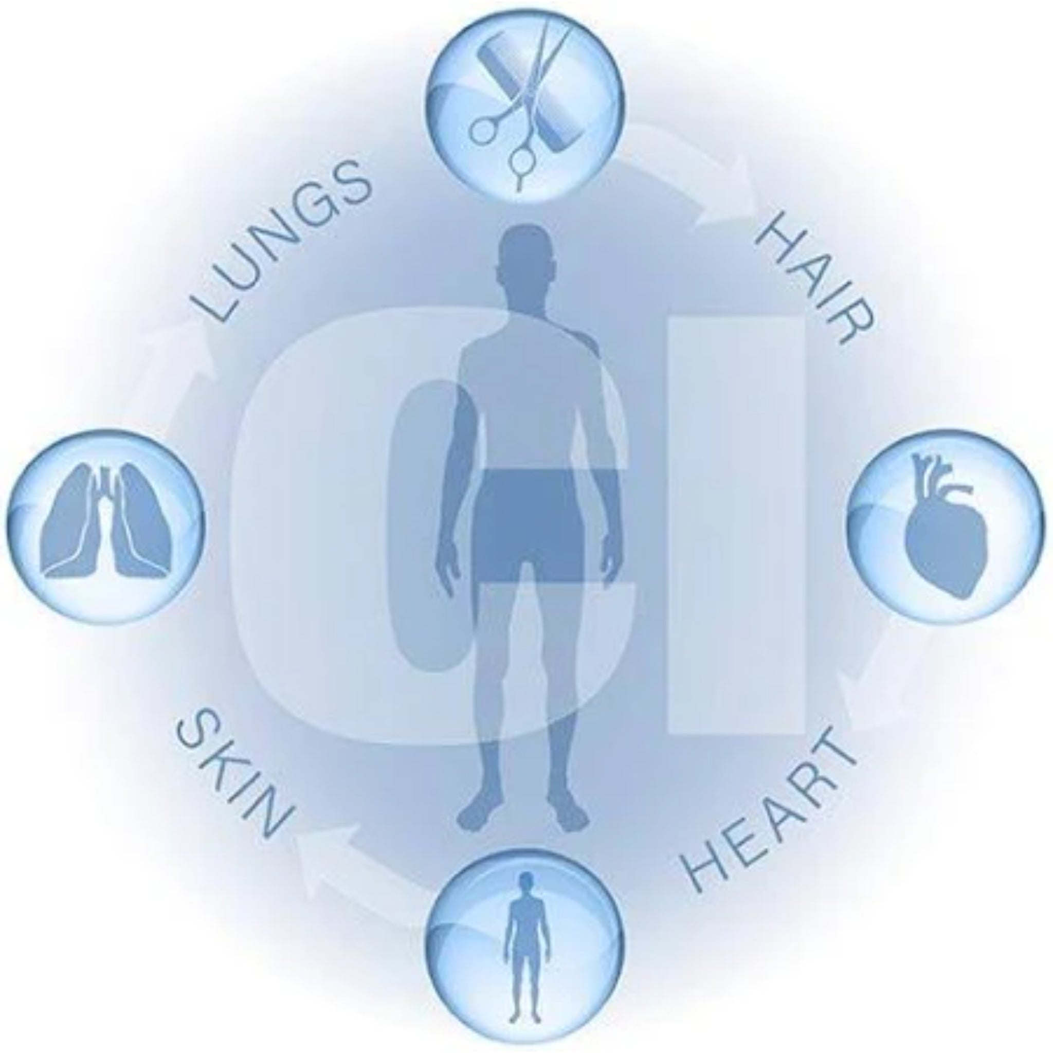 Aurelian SpaFlow Shower Filter